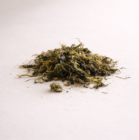 WILD-HARVESTED SEAWEED